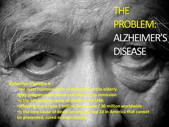the problem alzheimer s disease