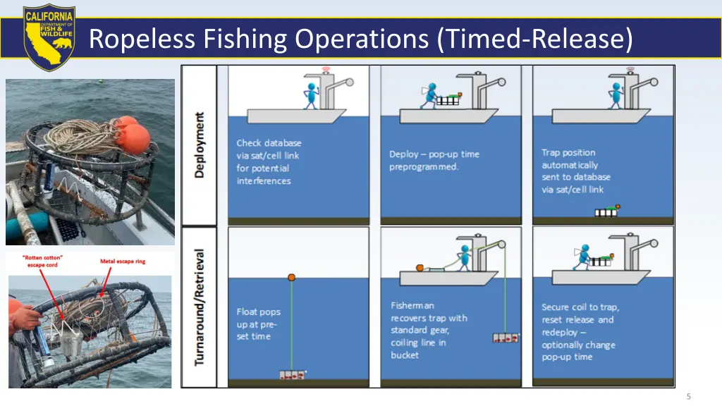 ropeless fishing operations timed release