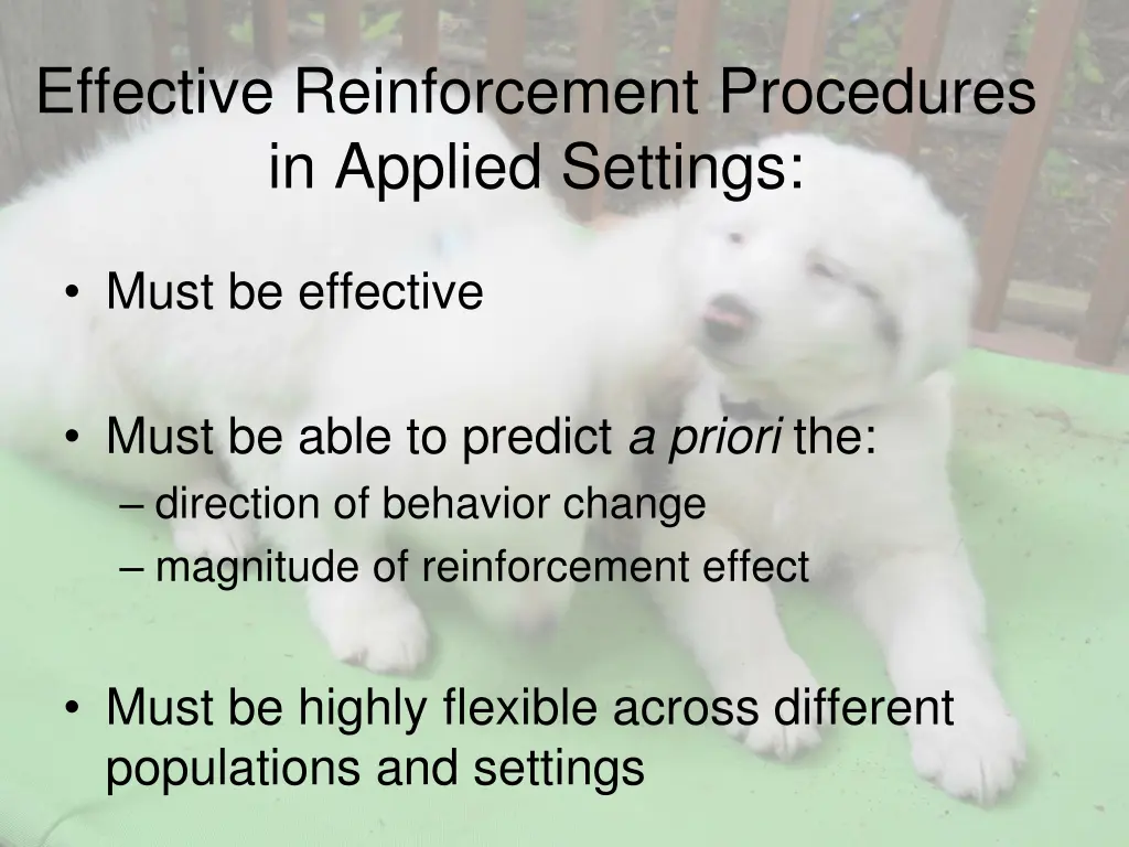 effective reinforcement procedures in applied