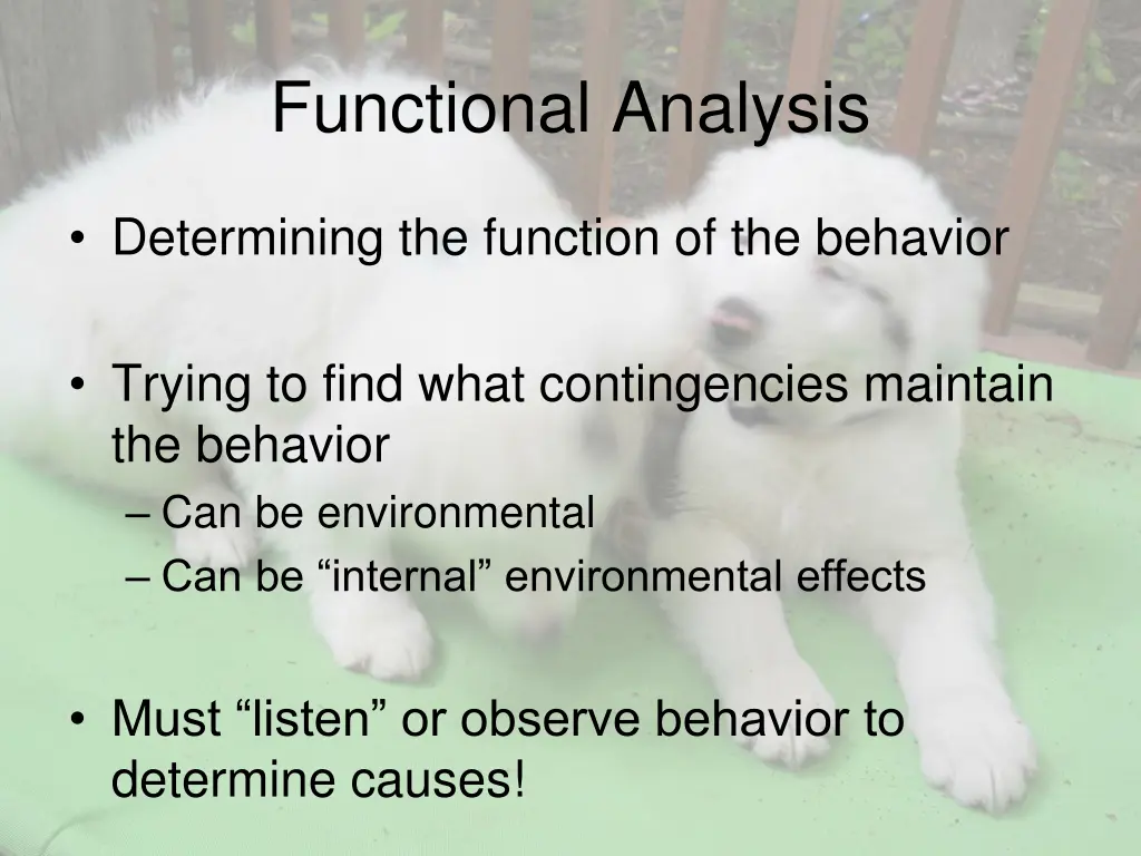 functional analysis