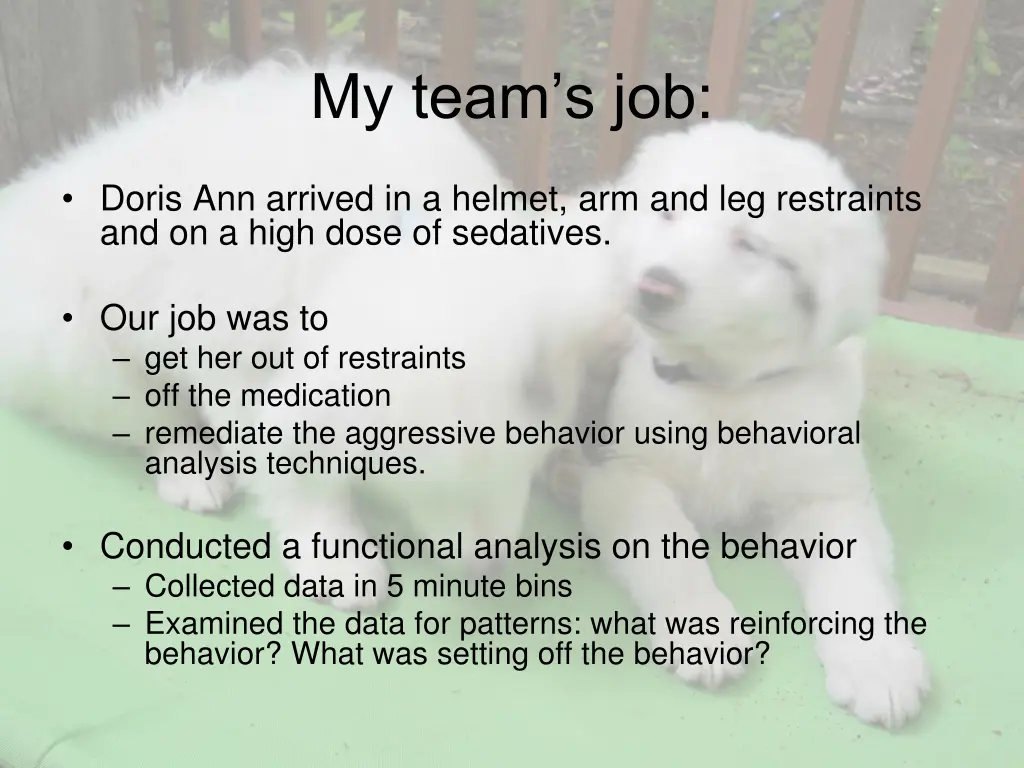 my team s job