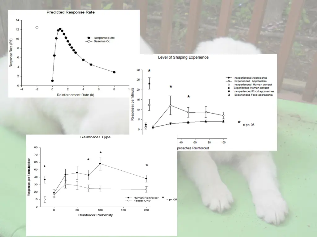 slide23