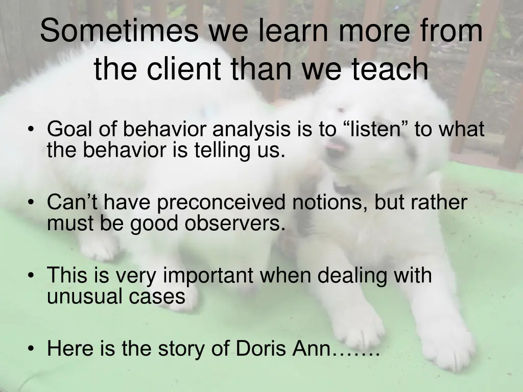 sometimes we learn more from the client than