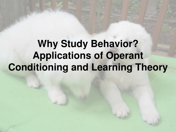why study behavior applications of operant