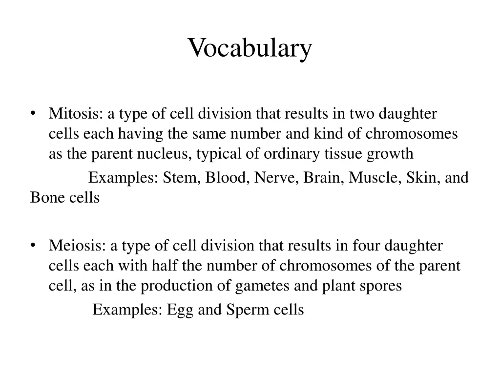 vocabulary 1