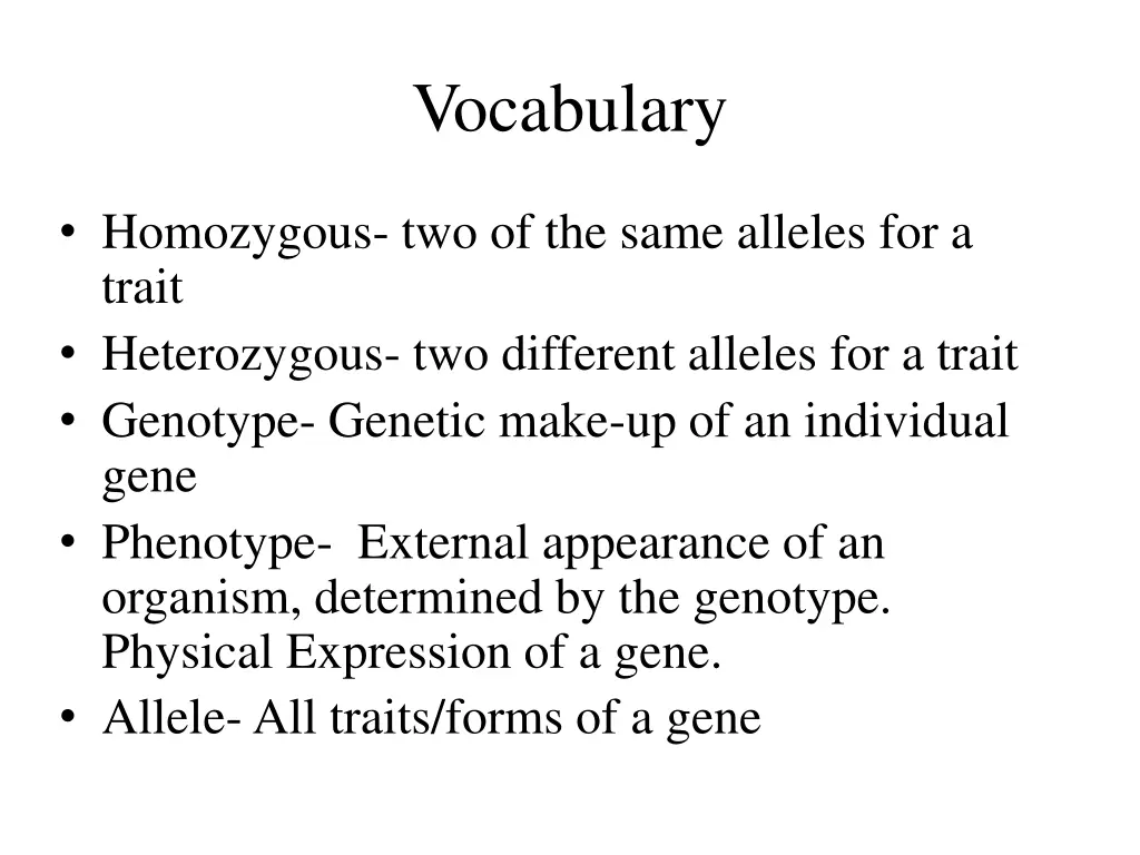 vocabulary 4
