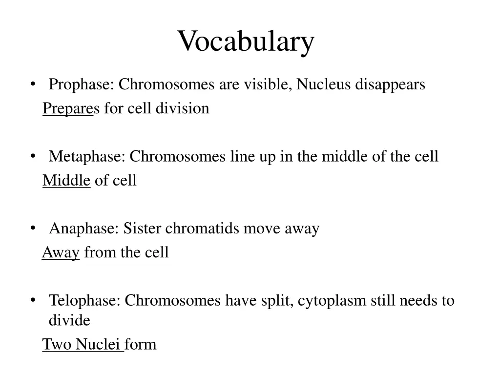 vocabulary 5