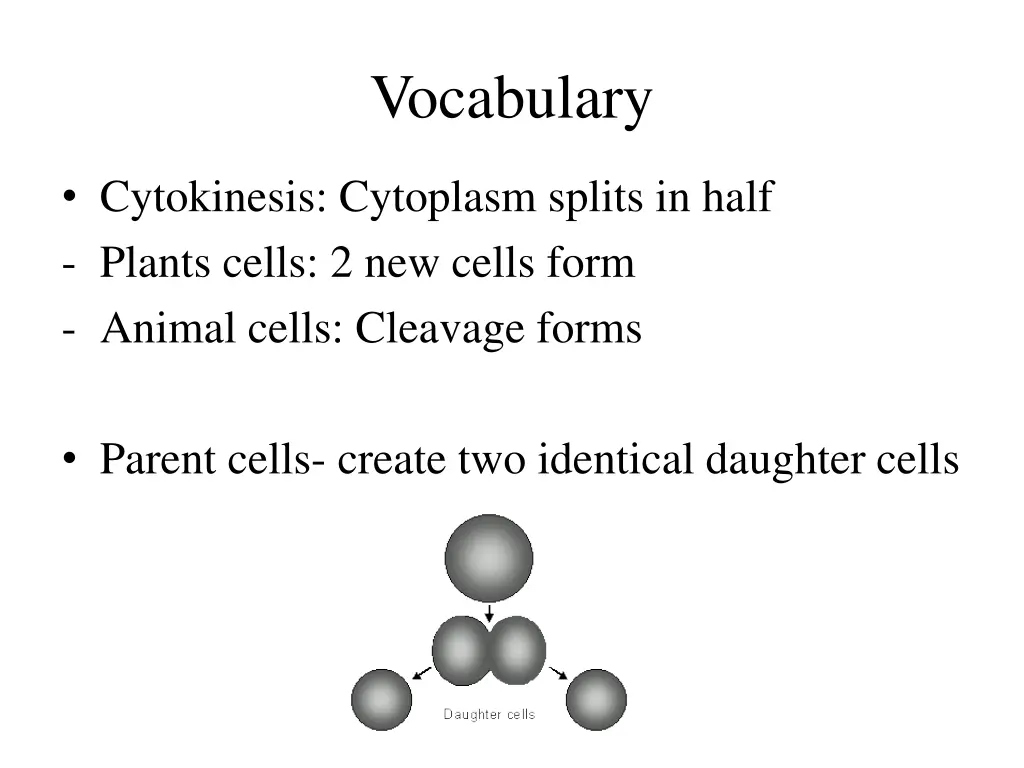 vocabulary 6