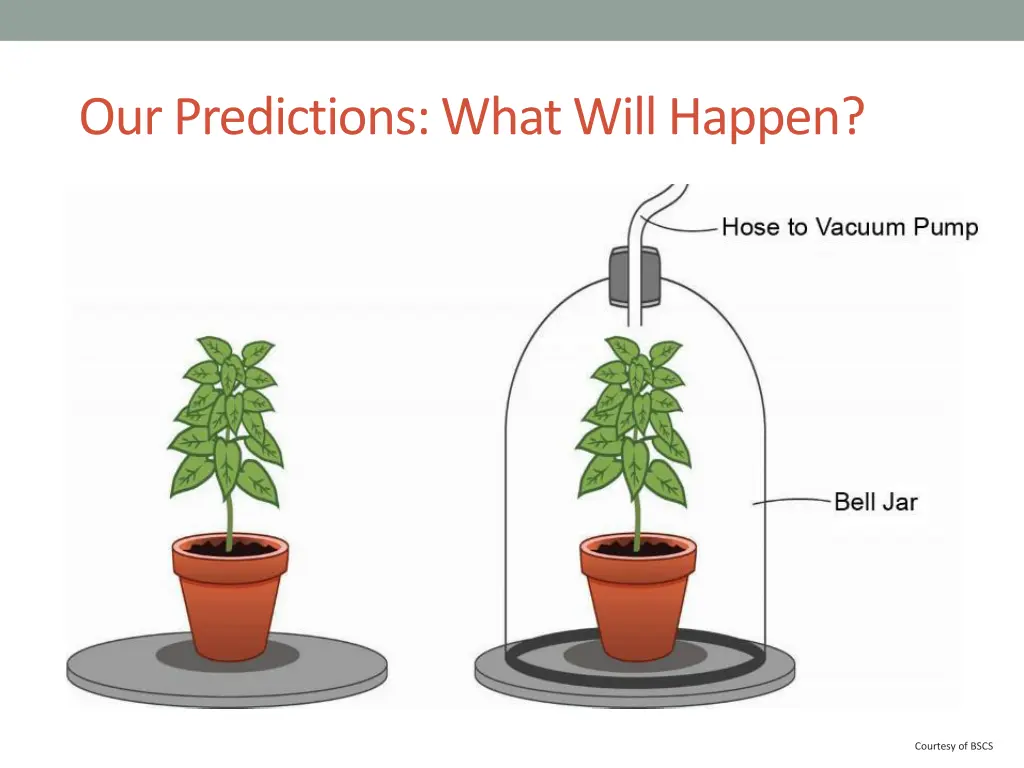 our predictions what will happen