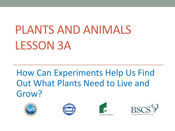 plants and animals lesson 3a