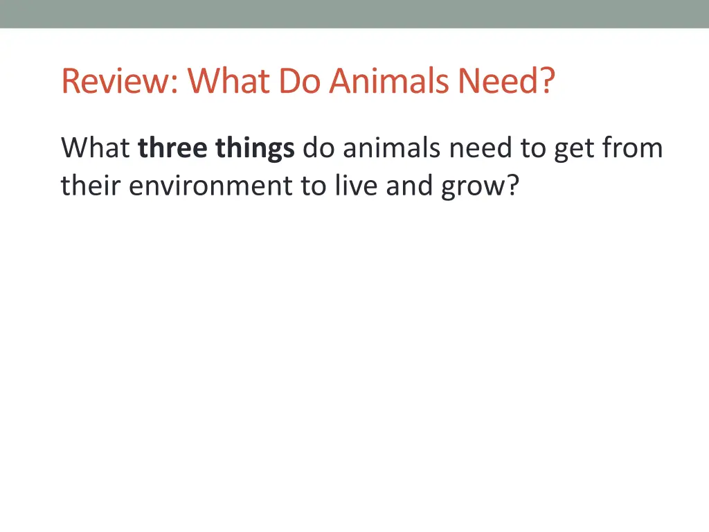 review what do animals need