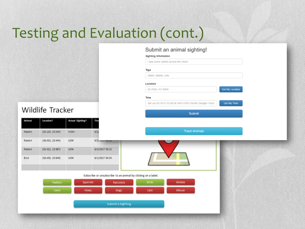 testing and evaluation cont