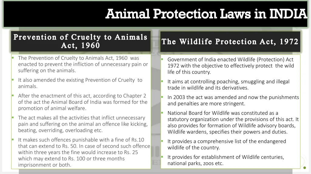 animal protection laws in india 1
