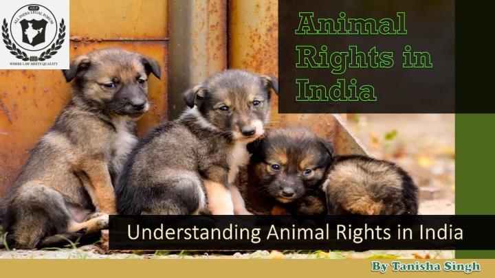 animal rights in india