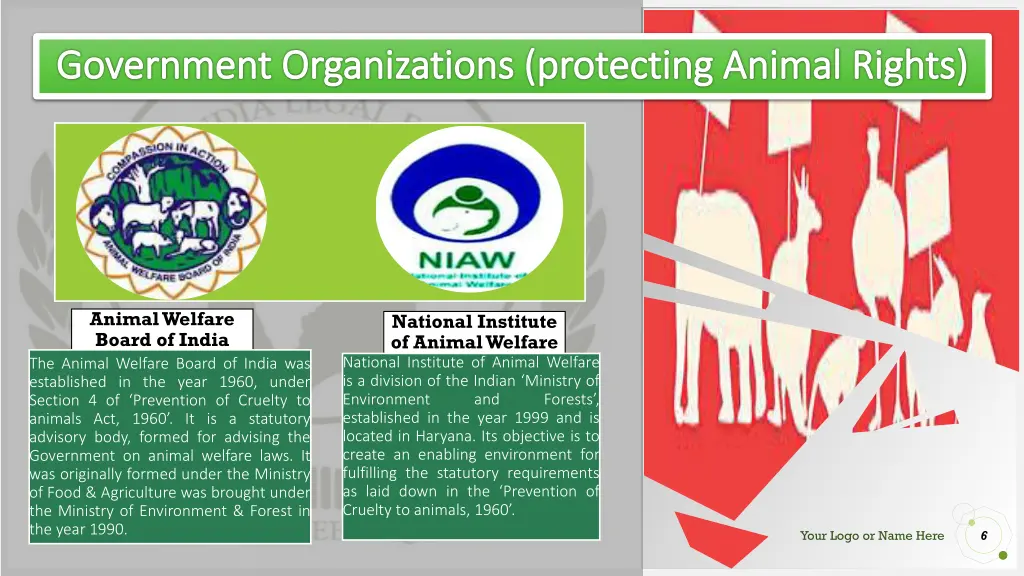 government organizations protecting animal rights