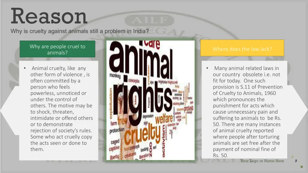 reason why is cruelty against animals still