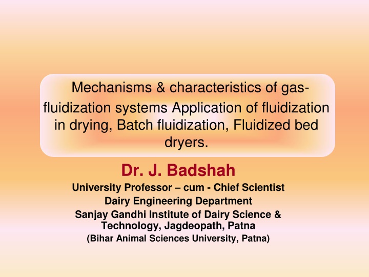 mechanisms characteristics of gas fluidization
