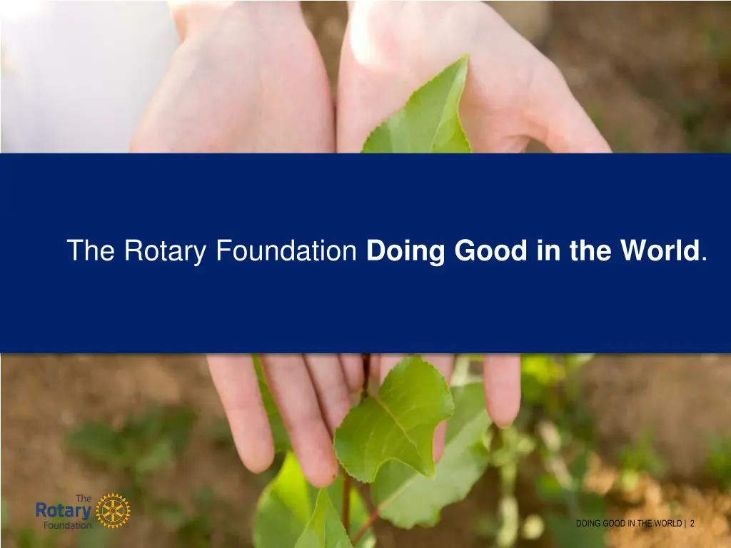 the rotary foundation doing good in the world
