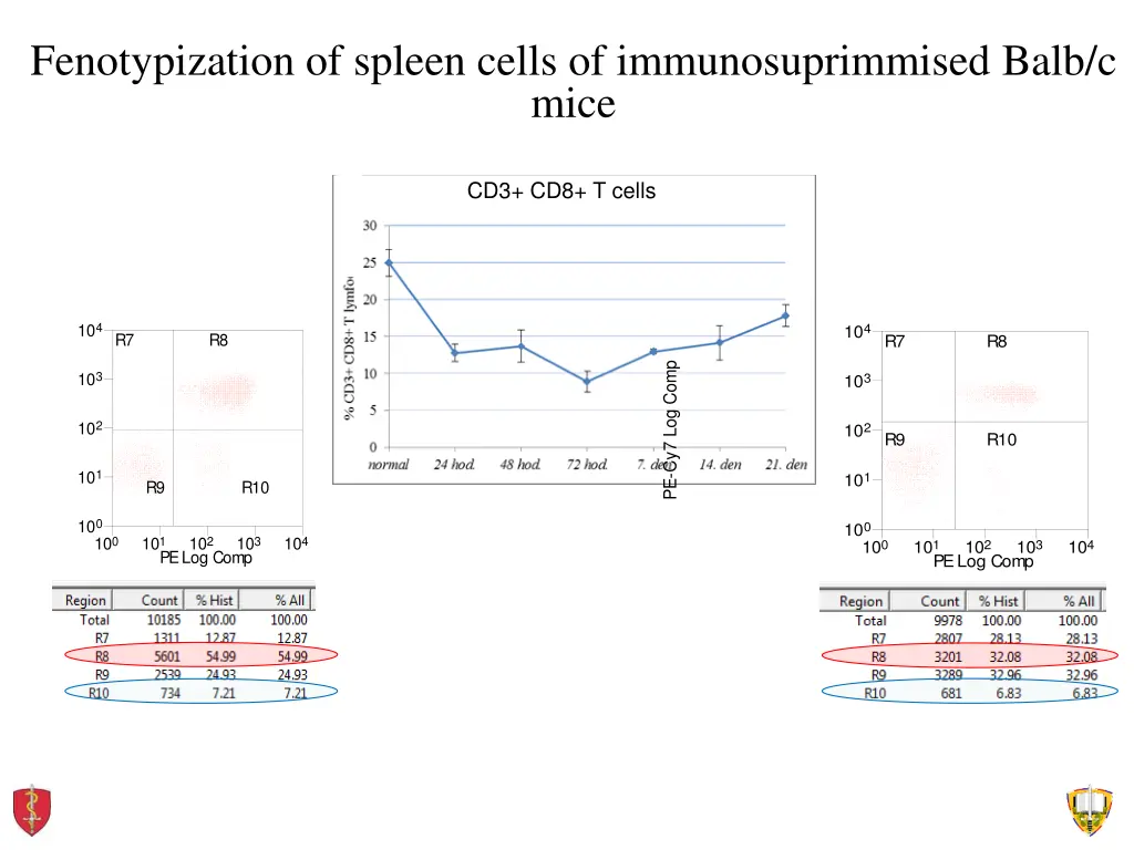 fenotypization of spleen cells