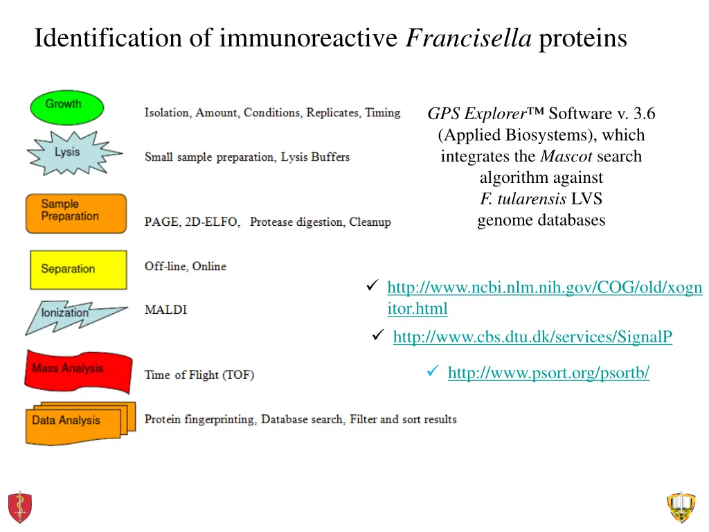 identification of immunoreactive francisella