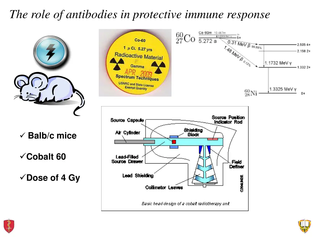 the role of antibodies in protective immune 1