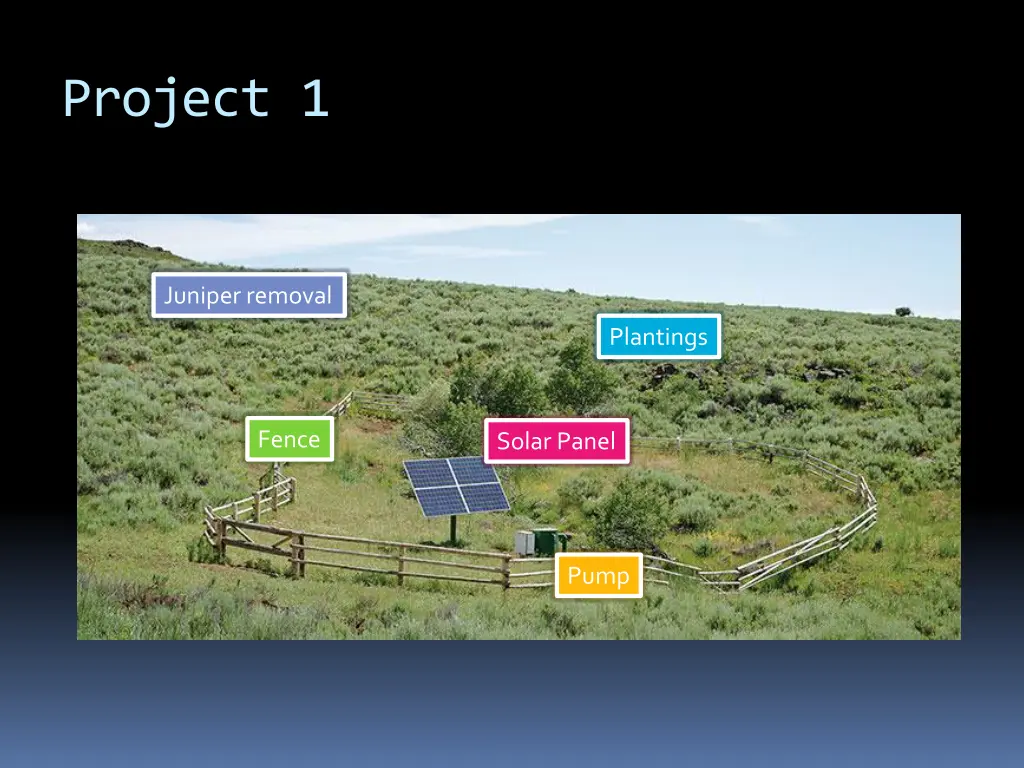 project 1