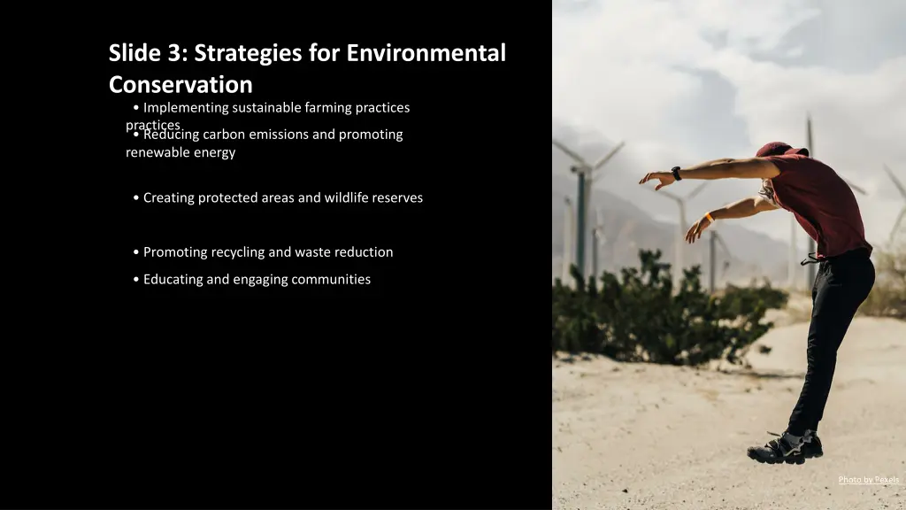 slide 3 strategies for environmental conservation