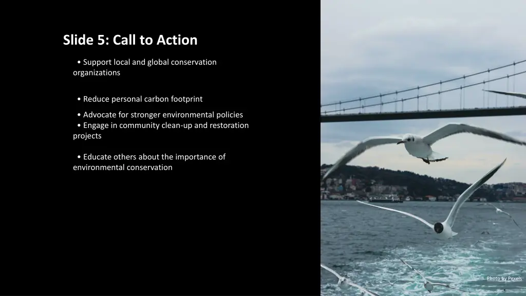 slide 5 call to action