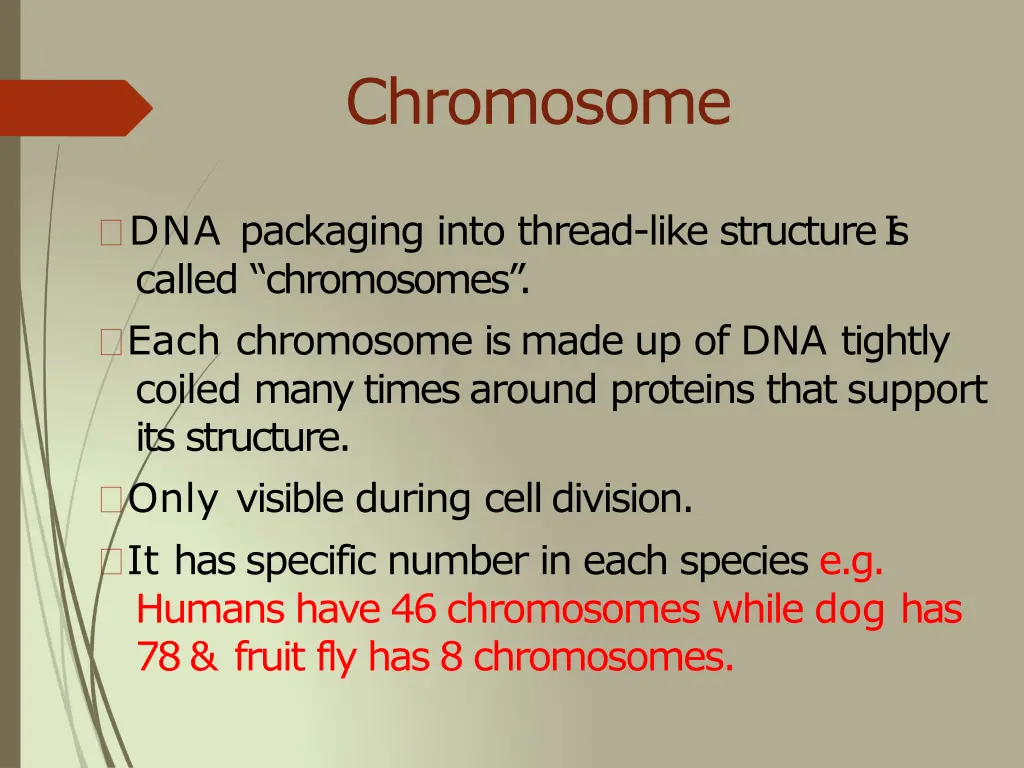 chromosome