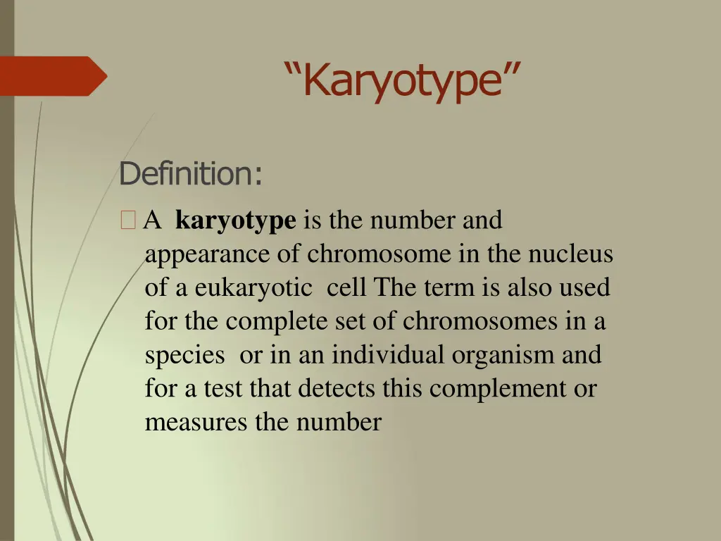 karyotype 1