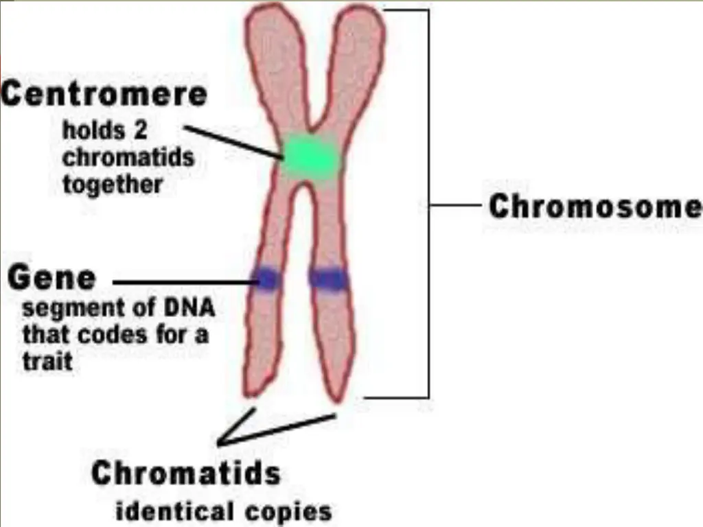 slide5