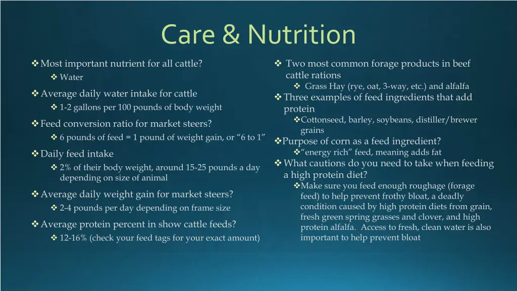 care nutrition