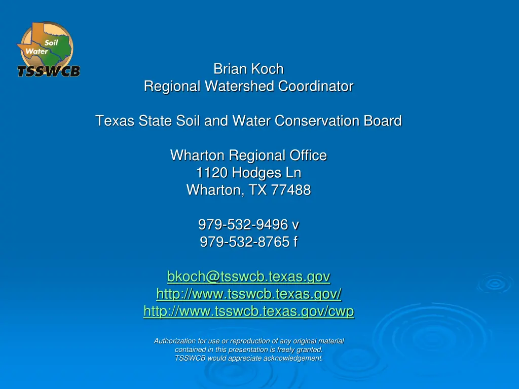 brian koch