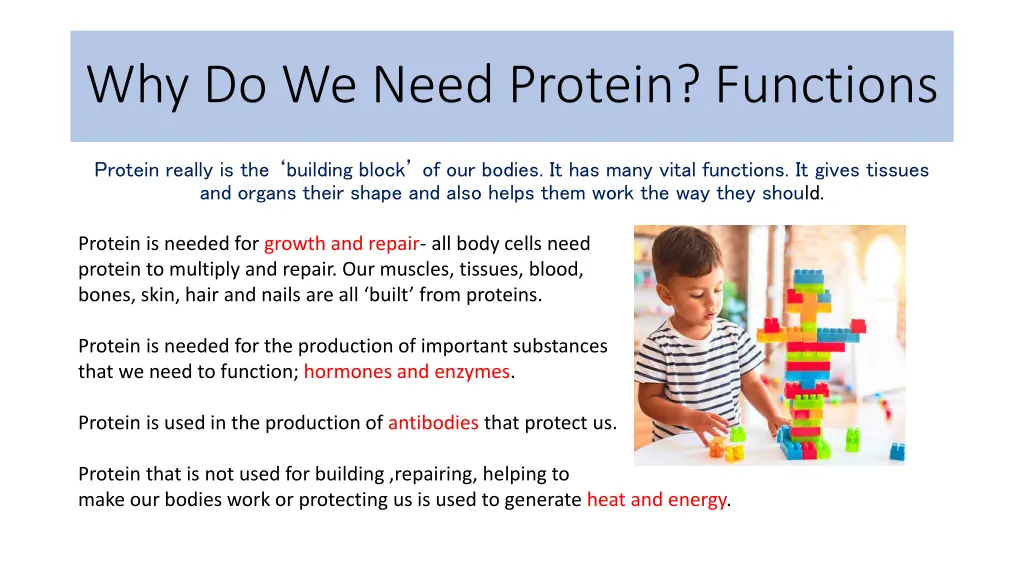 why do we need protein functions