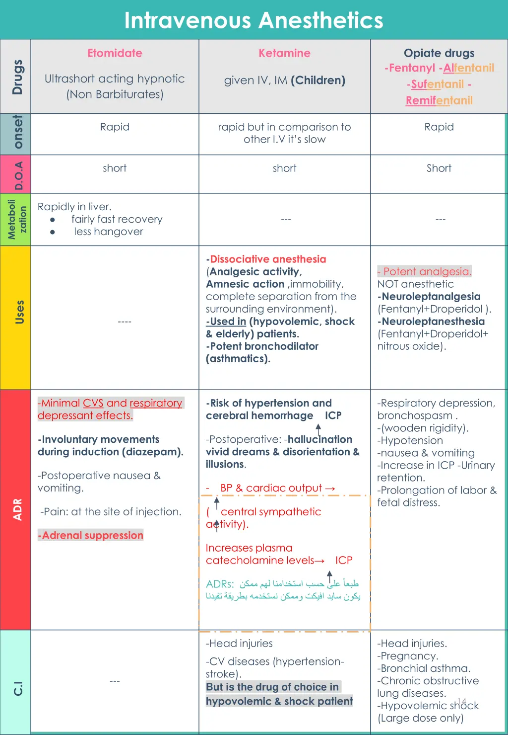 intravenous anesthetics 2