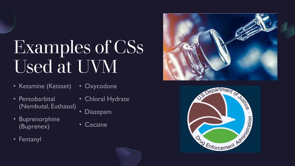 examples of css used at uvm