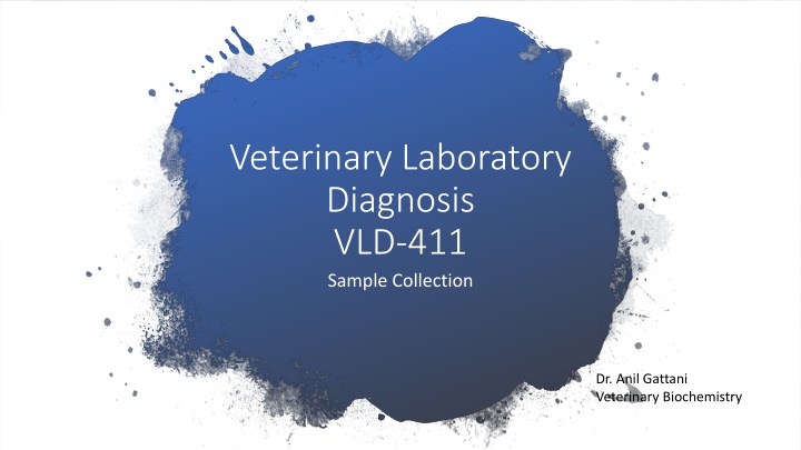 veterinary laboratory diagnosis vld 411 sample