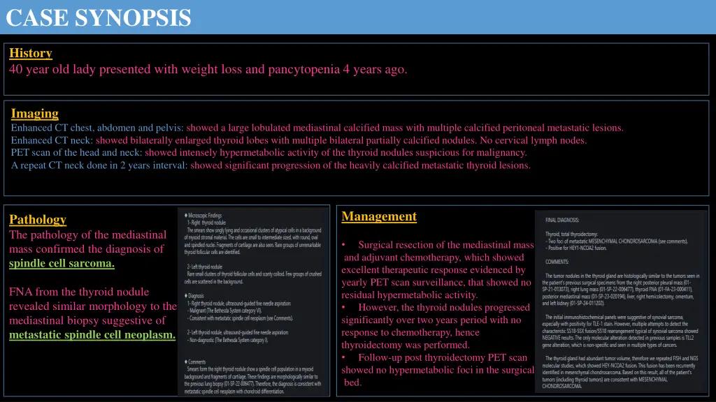 case synopsis
