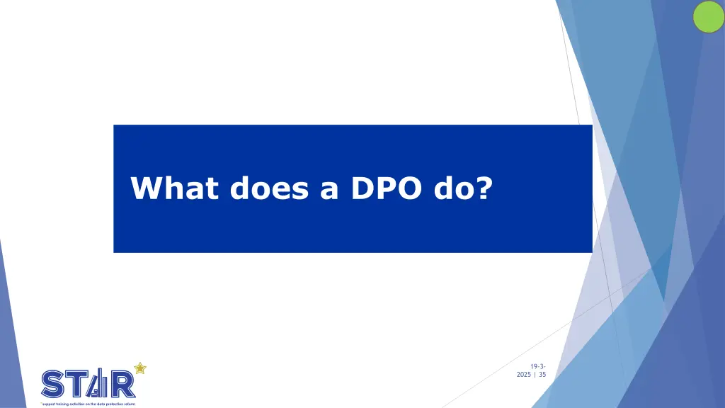 what does a dpo do