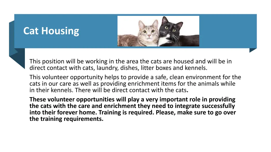 cat housing