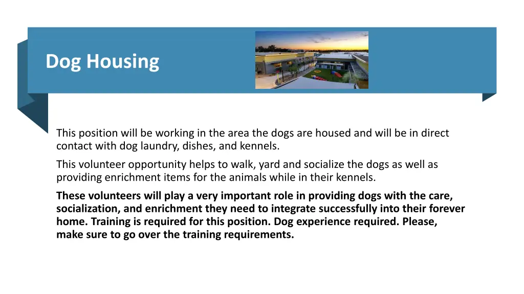 dog housing