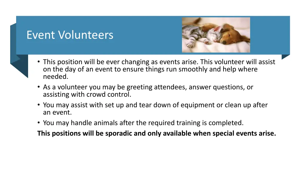 event volunteers