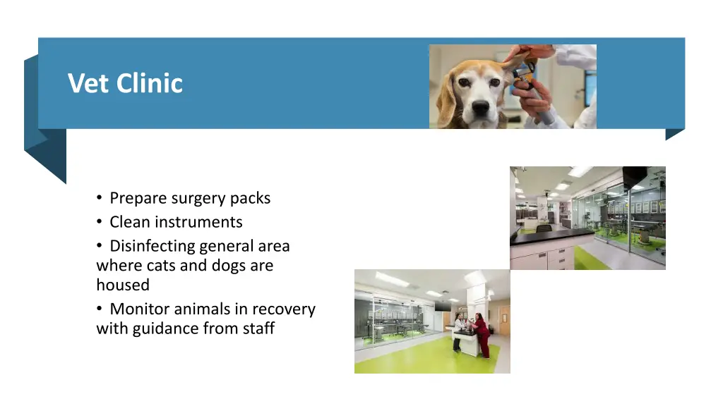 vet clinic