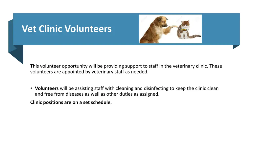vet clinic volunteers