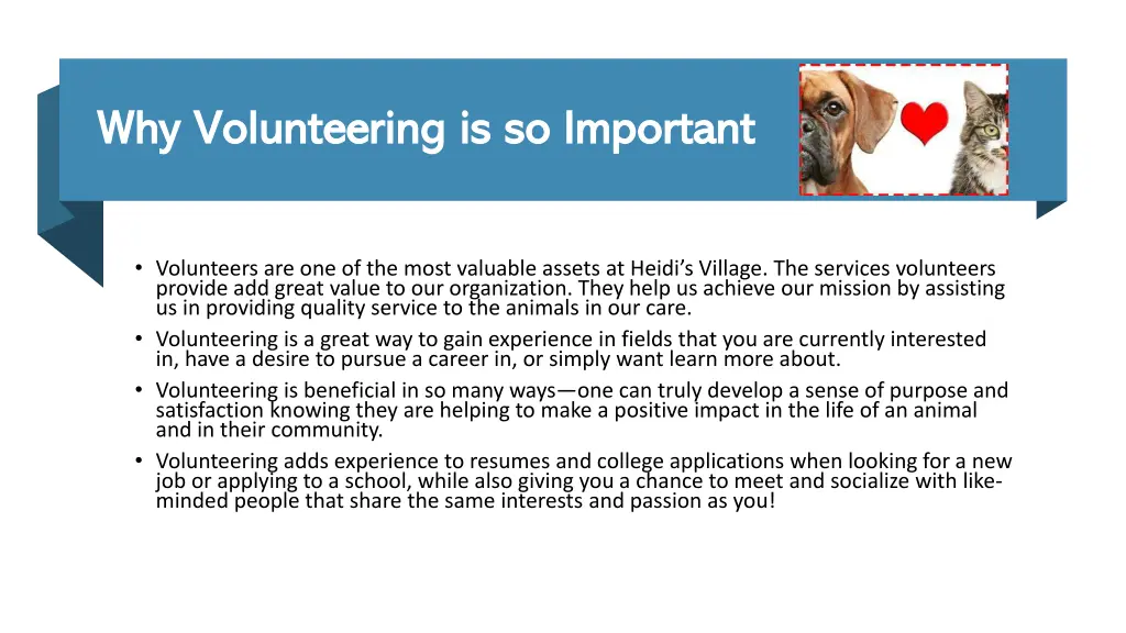 why volunteering is so important why volunteering