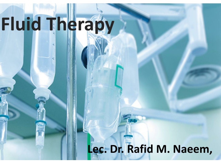 fluid therapy