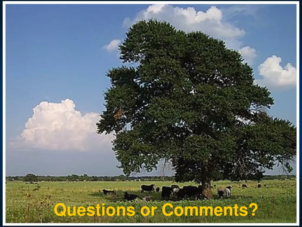 questions or comments