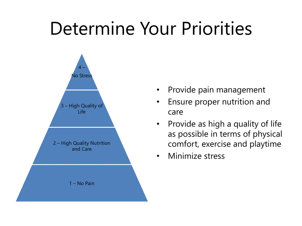 determine your priorities