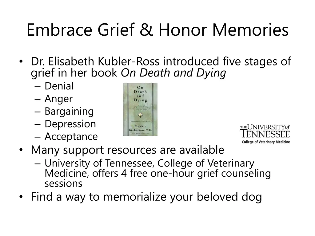 embrace grief honor memories