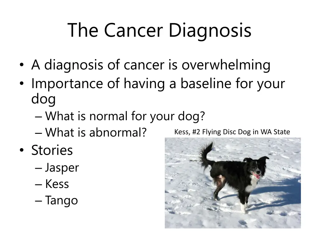 the cancer diagnosis